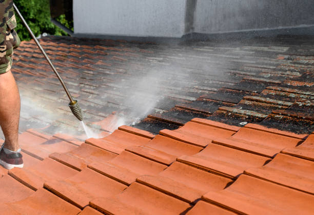 Best Pressure Washing Services for Businesses  in Indian Shores, FL